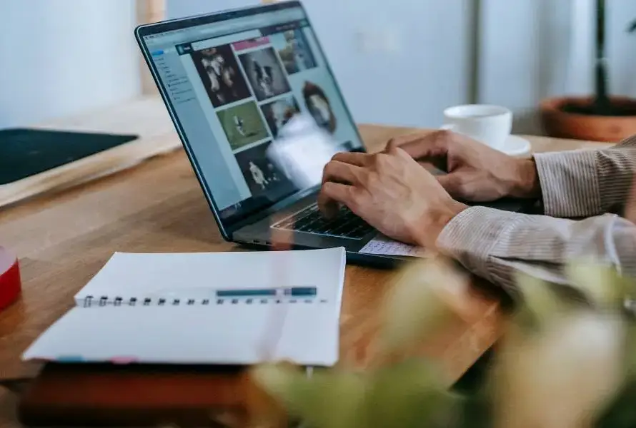 Web design vs DIY website builders comparison for South African businesses showing professional website design and drag-and-drop website builders