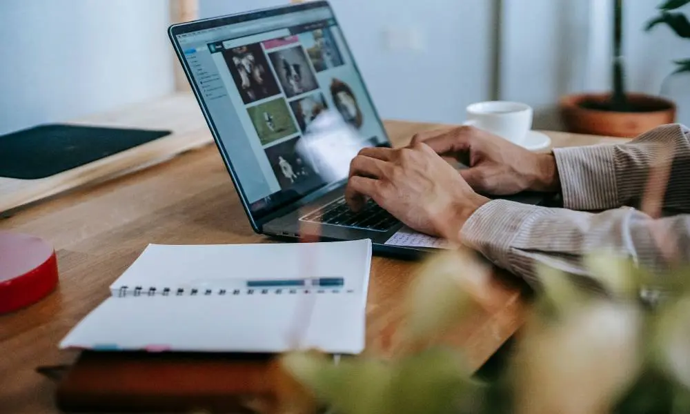 Web design vs DIY website builders comparison for South African businesses showing professional website design and drag-and-drop website builders