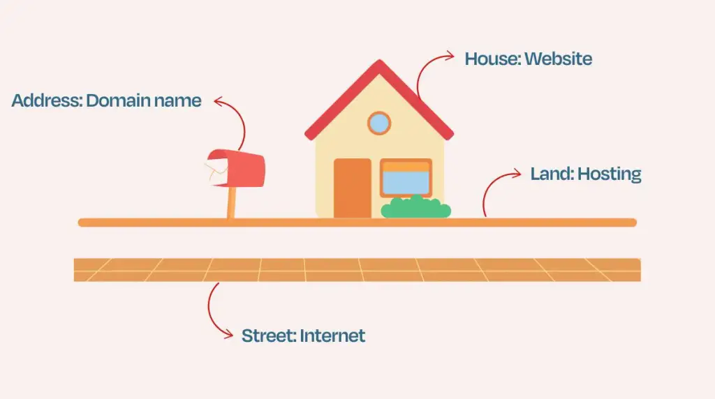 Difference between a domain, web hosting and a business website